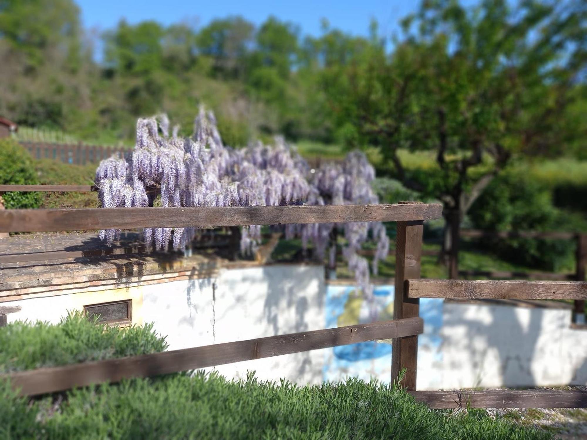 Il Casale Di Aurora Country House Colmurano エクステリア 写真