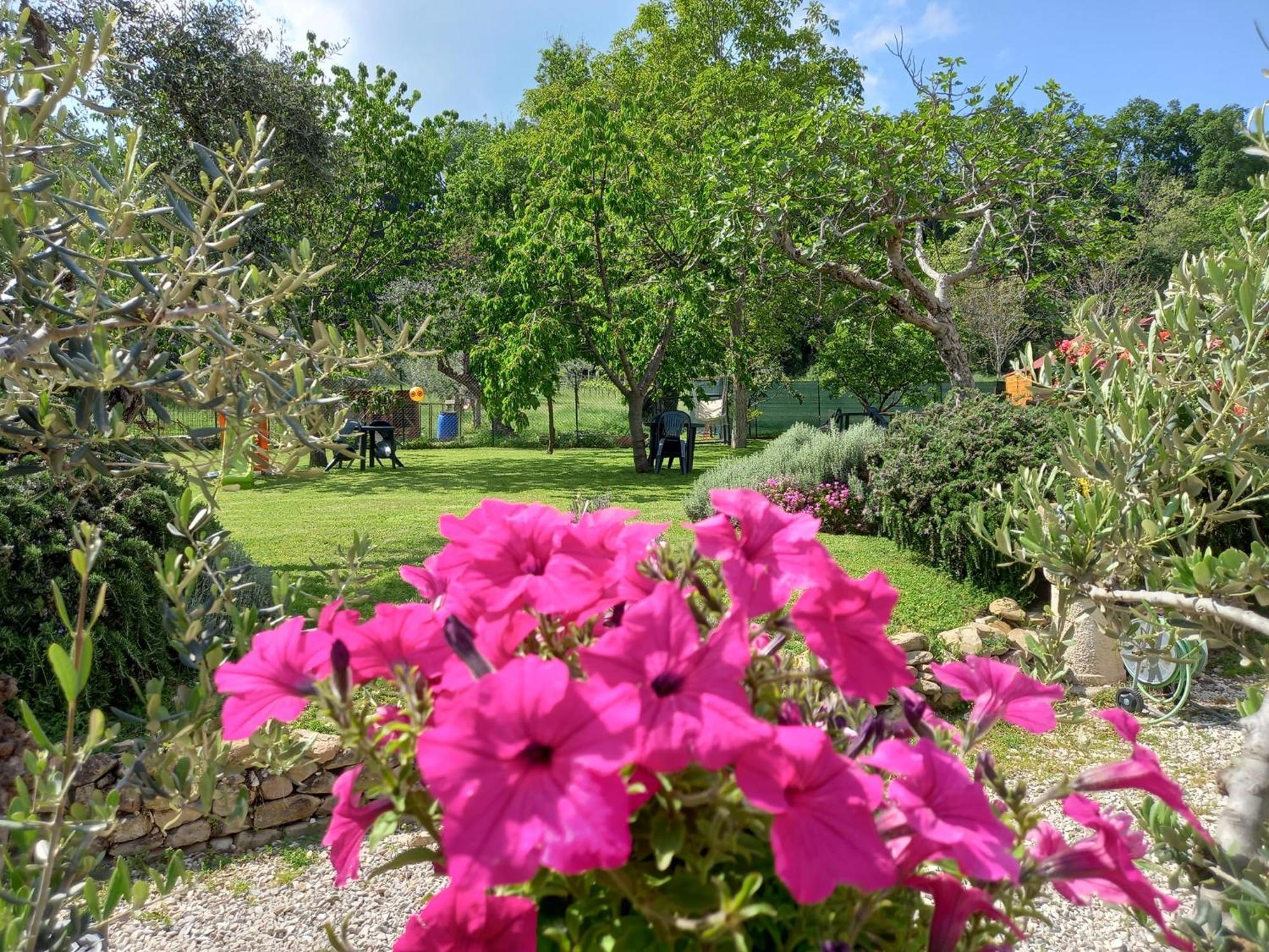 Il Casale Di Aurora Country House Colmurano エクステリア 写真