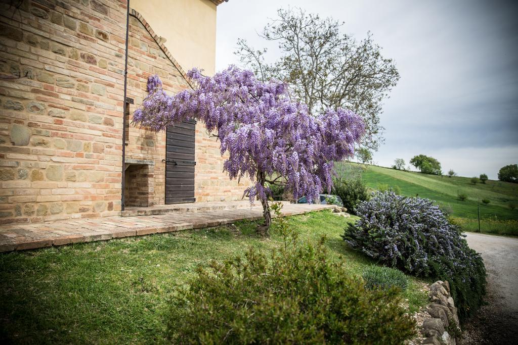 Il Casale Di Aurora Country House Colmurano エクステリア 写真